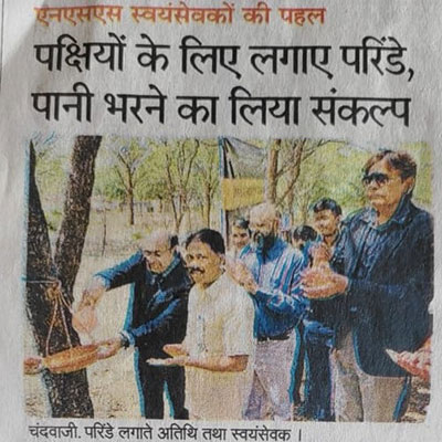 media